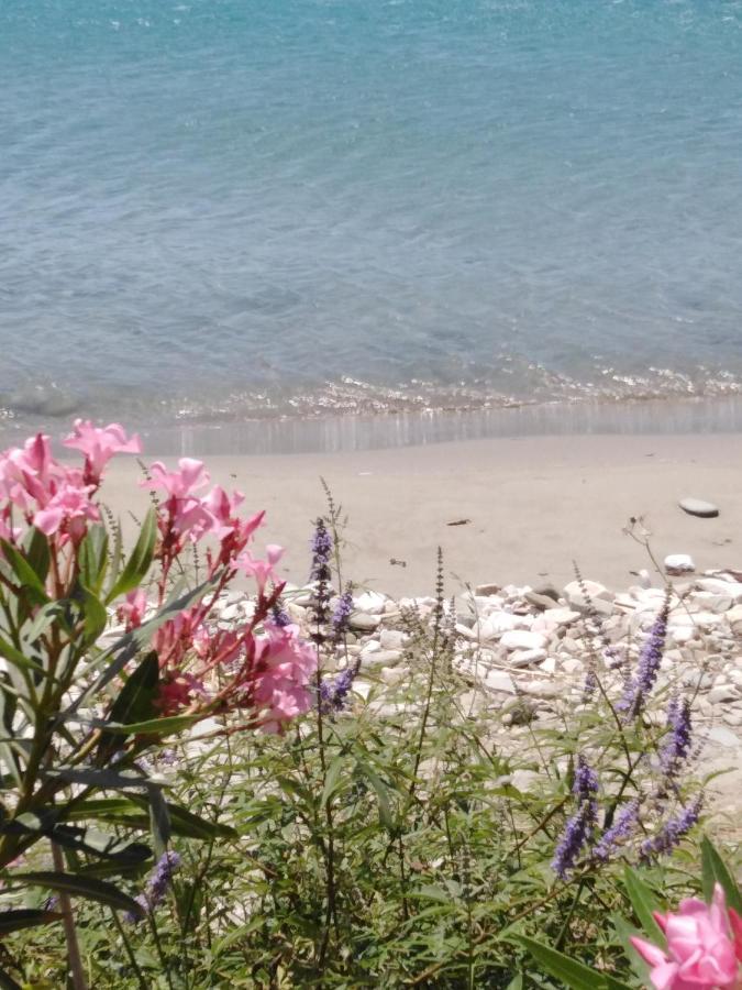 Kardhianí"Sea Front" Rose'S House别墅 外观 照片