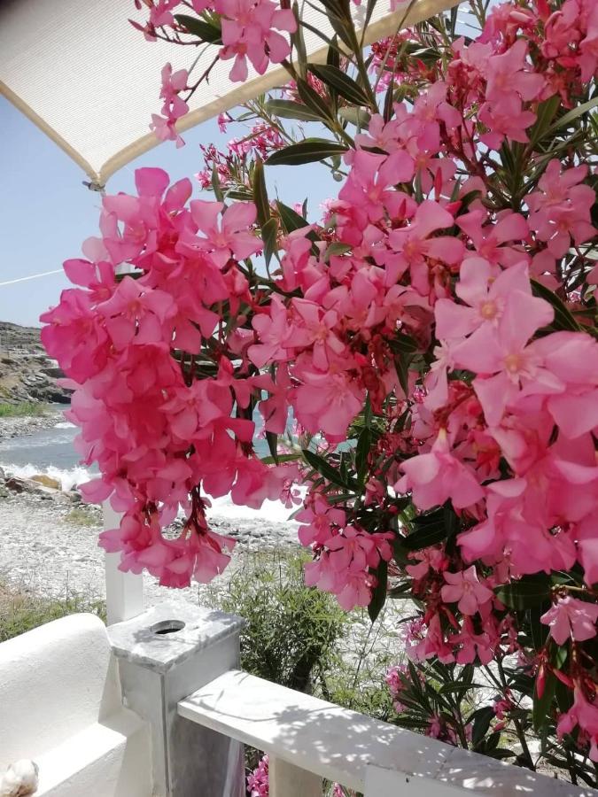 Kardhianí"Sea Front" Rose'S House别墅 外观 照片
